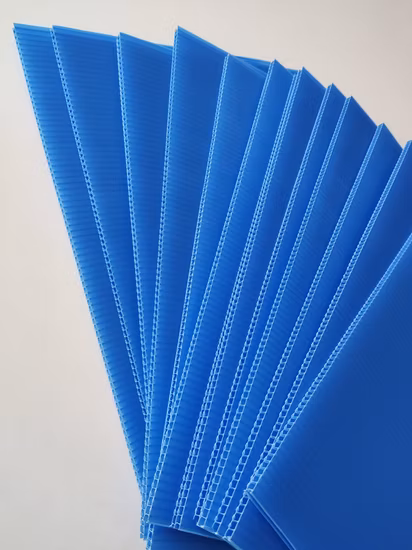 Feuille de Coroplast Corflute en plastique ondulé pour la protection du sol